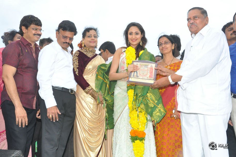 Jaya-Janaki-Nayaka-Movie-Vijayotsava-Veduka-At-Hamsala-Deevi
